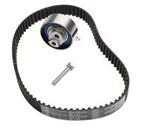 Ina Timing Belt Kit 530 0501 10 - Fits Audi A6 C6, A6 Avant, A6 Allroad, A5, Q5