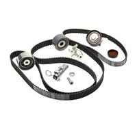 INA 530 0539 10 Timing belt kit