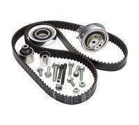 INA 530 0550 10 Timing belt kit