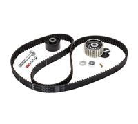 INA 530 0561 10 Timing belt kit