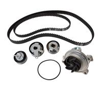 INA 530 0624 30 Water pump and timing belt kit