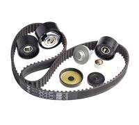 Timing belt kit 530 0637 10 INA for RENAULT LAGUNA I Estate LAGUNA I CLIO Mk II