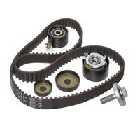 INA 530 0639 10 Timing belt kit