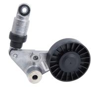 INA 534003310 Tensioner Lever
