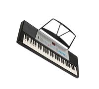 54-key Electronic Keyboard Multifunctional Adult Beginners Entry-level Professional Teaching