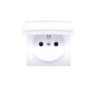 54 MODULE WHITE SOCKET TILE 1X Z/U WITH PREMIUM 54 DGZ1BUZP/11
