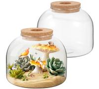 54 oz Glass Fish Bowl Vase with Cork Lid, Clear Bubble Planter Vase Globe Flower Centerpiece, 3 Inch Open Mouth Round Terrarium Vases, 6 Inch Diameter x 5 Inch Height (2PCS)