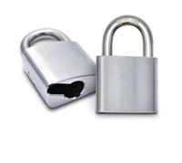 54mm Euro Profile Open Shackle Padlock Body, Hardened Steel | No Cylinder Included, Master Key Compatible, Bolt Cropper Resistant, For Gate & Door Hasps, Keying-Alike Setup