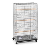 55" H Large Bird Parrot Cage, 3/8" Wire Gap, Carbon Steel 30"x18"x55" | Flight Cage for Budgie Lovebird Cockatiel, w/Slide Out Tray, Lockable Wheels, Front Doors, Side Openings, Food Cups, Perches