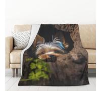 55"X70" Throw Blanket Soft Cozy Fleece Blanket Lightweight Warm Bed Blankets for Couch Sofa Bed Chair Home Decor A Little Yorkshire Terrier All Seasons Blanket