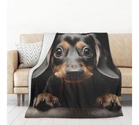 55"X70" Throw Blanket Soft Cozy Fleece Blanket Lightweight Warm Bed Blankets for Couch Sofa Bed Chair Home Decor Pad Dachshund All Seasons Blanket