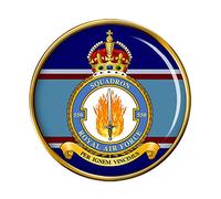 550 Squadron, RAF Pin Badge