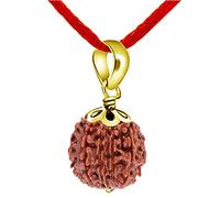 55Carat 10 Mukhi Gold Plated Pendant Lab Certified Original Nepali Rudraksha Shiva Prayer Wood Nepali Meditation Healing Tibatan Ten Face Real Hindu 10Mukhi Handmade Locket for Men and Women