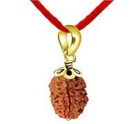 55Carat 3 Mukhi Gold Plated Pendant Lab Certified Original Nepali Rudraksha Shiva Prayer Wood Nepali Meditation Healing Tibatan Three Face Real Hindu 3Mukhi Handmade Locket for Men and Women