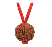 55Carat 5 Mukhi Rudraksha Thread Lab Certified Original Nepali Rudrakshi certified Wood Nepali Meditation Healing Tibatan Five Face Real Hindu 5Mukhi Pure Handmade Thread for Men and Women