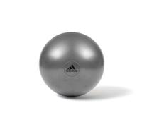 (55cm) Adidas Exercise Ball Gym Swiss Fitness Workout with Pump
