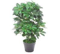 55cm Dark Green Artificial Schefflera Arboricola Plant Leaf Green One Size