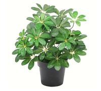55cm Dark Green Artificial Schefflera Arboricola Plant Leaf Green One Size