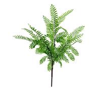 55cm Himilayan Maidenhair Fern Bush Light Green Plant