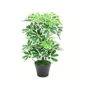 55cm Variegated Artificial Schefflera Arboricola Plant