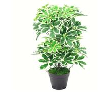 55cm Variegated Artificial Schefflera Arboricola Plant Leaf Green One Size