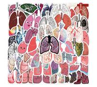 55PCS Colorful Lung Stickers Cute Cartoon Organ Sticker for Kids Teens Adults, Vinyl Waterproof Funny Decals for Water Bottles Laptop Journaling Phone Teachers Reward Decal