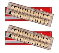56 Pcs False Teeth Dental Complete Acrylic Resin Denture Teeth, 2 Set Whole Teeth Synthetic Polymer Denture Tooth, 23 Shade A2 Upper + Lower Dental Materials for Replacement, DIY, or Halloween (23 A3)