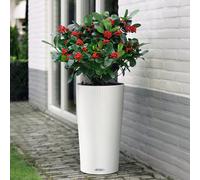 56Cm Tall Planter, White Plastic Lechuza Cilindro Color Self-Watering Indoor And Outdoor Planter D32 H56 Cm