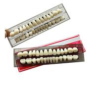 56pcs Dental Synthetic Resin Teeth Denture False Tooth Denture Model Teeth 2 Sets Halloween Horror Teeth, 22 A2