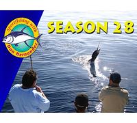 573 Small Boat at the Breakwall