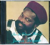 57th Street Possee - The 20 Classic Hits Of Junior Delgado