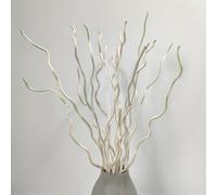 58 cm Dried Curly Willow Branches, 15 Stems Dried Twigs Wooden Sticks, Natural Dried Plants Decorative Branches for Xmas Rustic Home Decor (White)