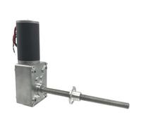 5840-31ZY M8 Shaft length 116mm DC12V 24V Worm gear motor self-locking PWM Speed 12/16/27/40/80/160/260/470RPM(12V 16rpm)