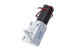 5840-31ZY Worm Gear DC electronic starter High Torque 100KG.CM High Power Self-locking electronic starter Fixed Bracket 10RPM_12V RUAJOGYNVM