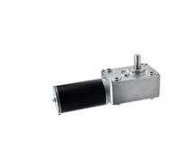 5840-31ZY Worm Gear DC Reduction Motor 12v24 Speed Regulation self-Locking Gear high Torque Dual Shaft Motor(12V12 rpm)