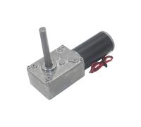 5840-31ZY Worm Gear Motor DC 12 24V High Torque With Reversed Self-Lock D Shape 51MM Extension Shaft Motor For Home Equipment(Only motor,10 RPM_24V)