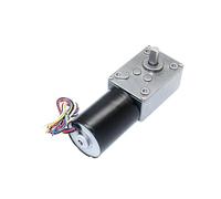 5840-3650 brushless DC Speed Reduction Motor high Torque Low 12v Worm Gear self-Locking(12V80rpm)