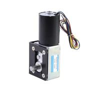 5840-3650 DC 12V 24V Engine Brushless Motor Worm Gear Motor(14rpm,24V)
