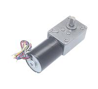 5840-3650 DC brushless worm reduction motor 12V24V brushless motor(24V 16 rpm)