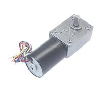 5840-3650 DC Worm Gear Motor, Brushless, High Torque, 8-470RPM, Reversible, 12V 24V, for Fans and Home Appliances (12V 20RPM)