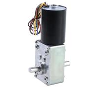 5840-3650 High Torque Brushless Worm Gear Motor, Black, Industrial Grade, Adjustable Speed, Compact Design with Mounting Bracket (24v 80rpm 30kg.cm Package2)