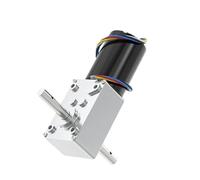 5840-3650 Worm Gear DC Motor 24V Double Rod Output 70KG.CM Forward and Reverse Speed 6RPM-470RPM Adjustable brushless Motor(160RPM)
