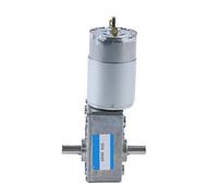 5840-555 12V/24V Double Output Shaft Worm Gear Motor, DC Adjustable Speed Can CW CCW High Torque Electric Motor(80RPM,24V Motorand Bracket)
