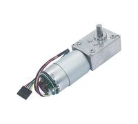 5840-555 High Torque DC 12Volt 24Volt Worm Gear Electric Motor With Encoder(80rpm,12V)