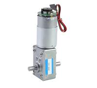 5840-555 Worm Gearbox, Double Output Shaft DC Gear Motor With Encoder 12V 24V Adjustable Speed Can CW CCW Electric Motor(160RPM,24V Motorand Bracket)