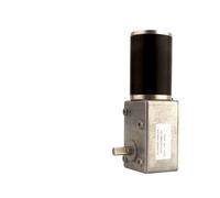 5882-50ZY Dual Shaft Worm Gear Motor 12V 24V Forward And Reverse Adjustable Speed 1.5RPM~295RPM High Torque Brushed DC Motor(Only motor,1.5RPM_12V)