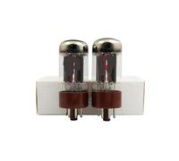 5AR4 tube replaces 5AR4/GZ34/5U4G vacuum tube, precise match for amplifier(2 pcs)