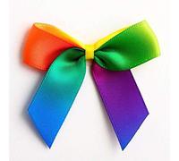 5cm Double Satin Bows - Self Adhesive Pre-Tied Ribbon Bows for Craft Gift Wedding Decoration (Rainbow, 24pcs)