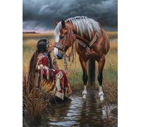 5D American Native Indian Horse Diamond Art 12x16 Inch Full Drill Diamond Painting Kits for Adults & Beginners - DIY Art Crafts for Relaxation and Home Wall Decor A753