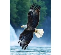 5D Animal Diamond Painting, Eagle Diamond Art Kits Adults DIY Square Full Drill Crystal Art, Beginners Kids Gem Arts Painting and Crafts Kits for Adults for Home Wall Decor Women Gifts 35x55cm O4-90